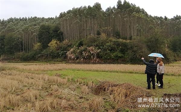 汉中市陈老师带着爱徒寻龙点穴